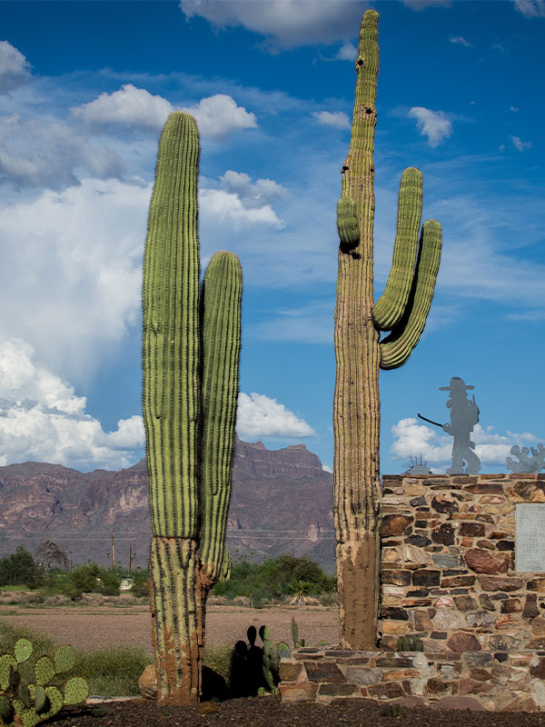 Apache Junction Az
