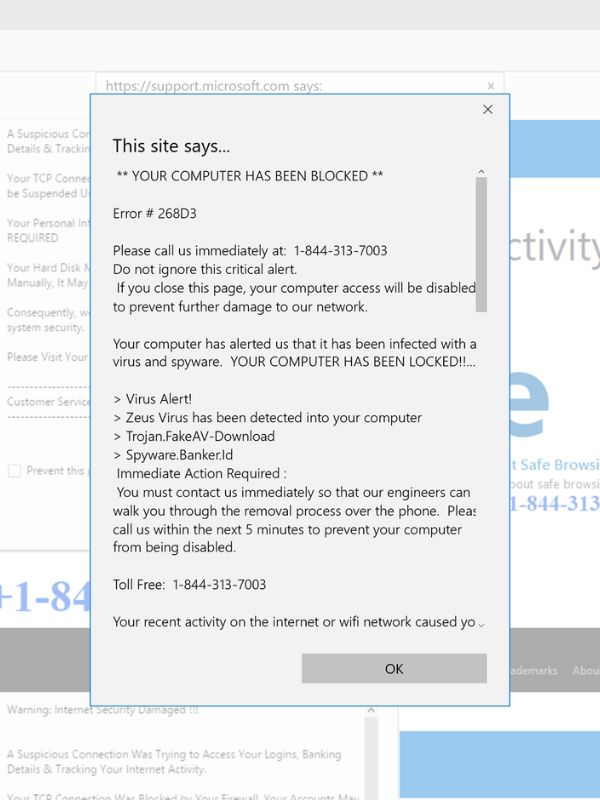 Geeks You Virus Removal Service Near Me